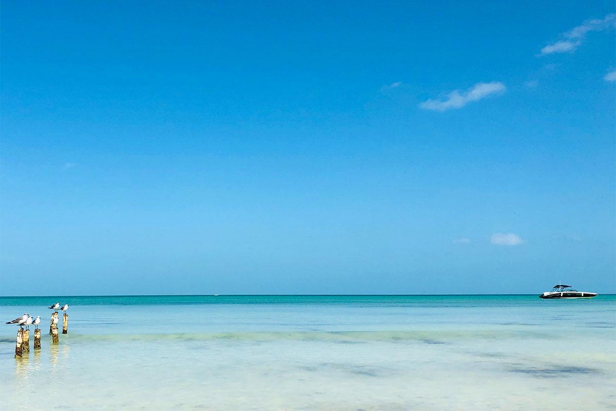Beachfront La Palapa - Adults Only 3*