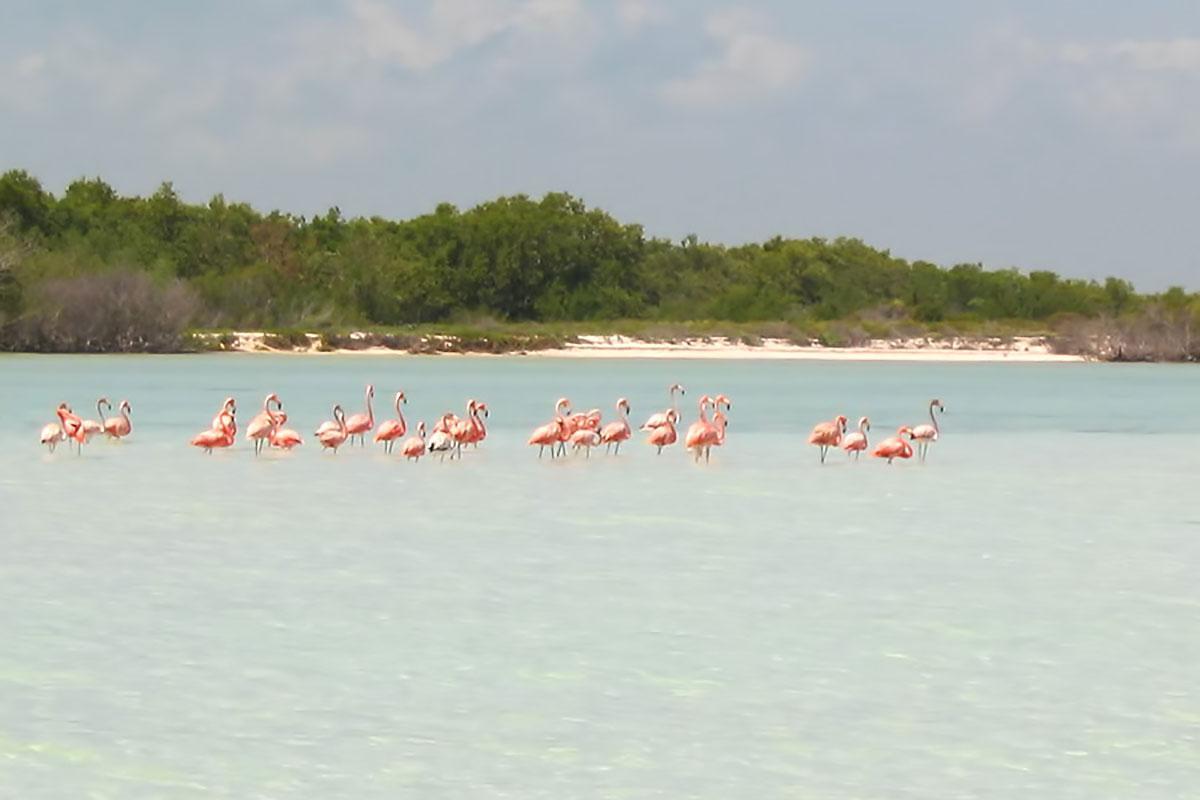 Beachfront La Palapa - Adults Only Isla Holbox